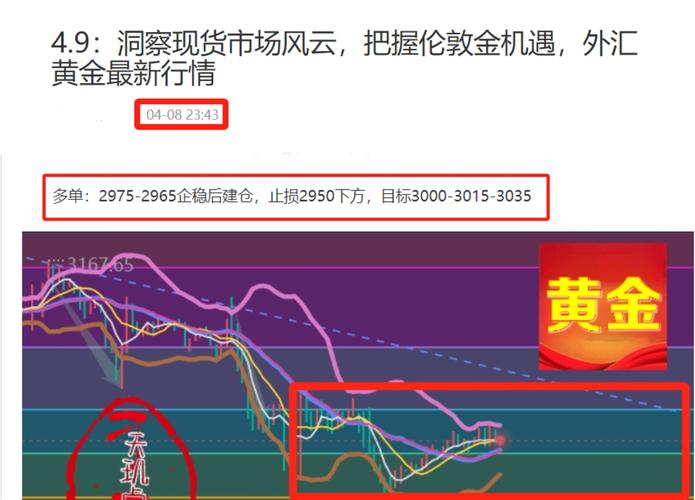 投资必看！Bitpie官网助你把握市场行情，精准筛选信息